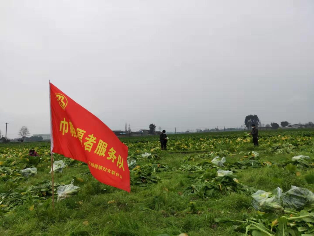 关于斯洛伐克奋勇抗击，小组第一成功晋级！的信息