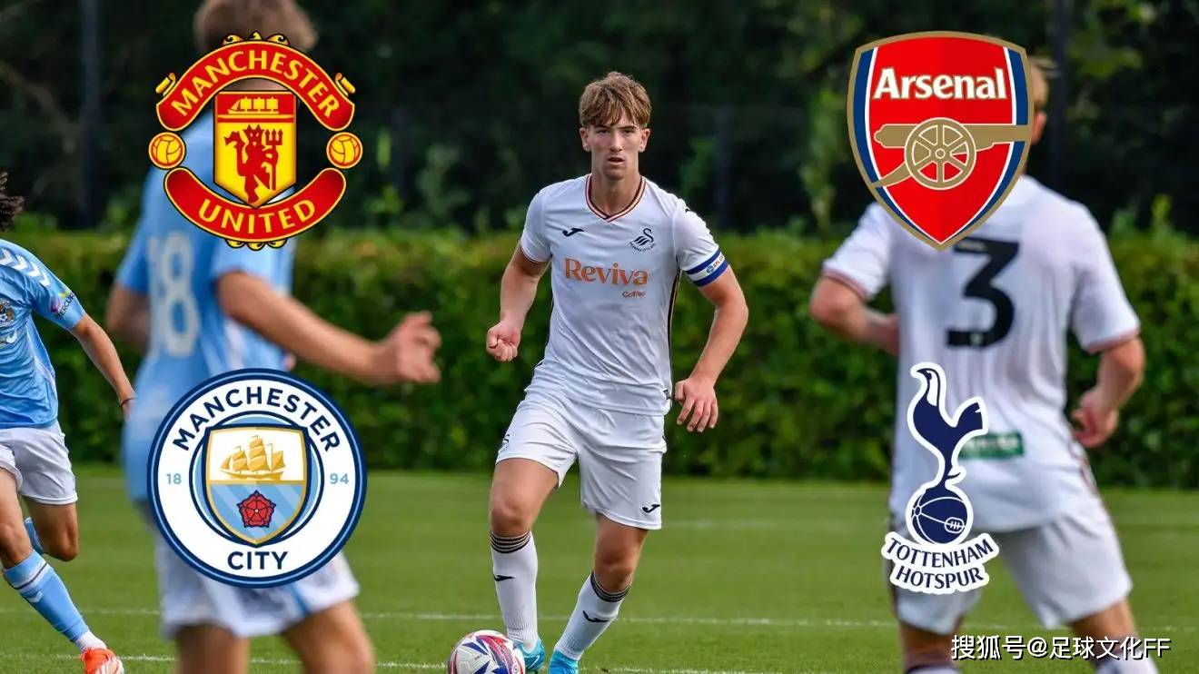 斯旺西城球员表现出色，取得重要胜利在英超的简单介绍